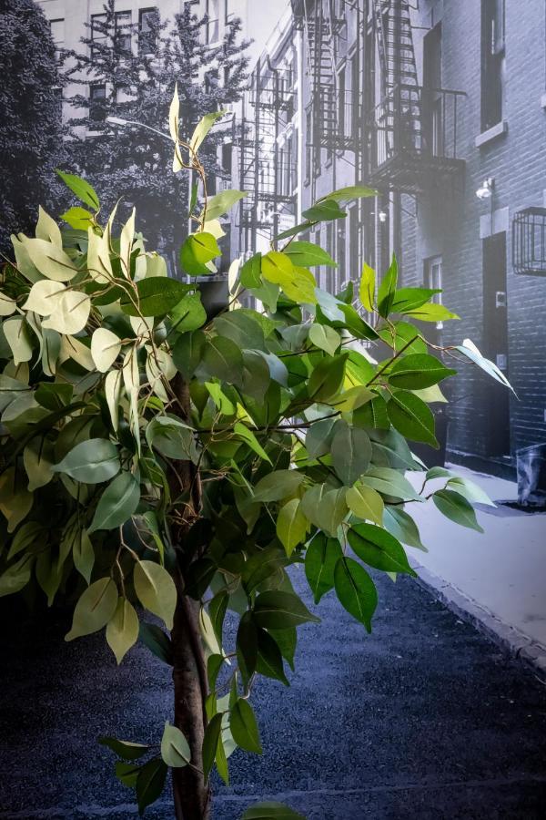 Superbe Appartement Avec Patio Nîmes Exterior foto